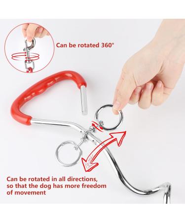 EfuturTime Large Dog Plot with 6m Leash | Durable Base Piral Anchor for Outdoor Camping & Farm | Perfect for Small to Large Dogs - Buy Online on GoSupps.com