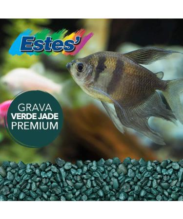 Spectrastone Special Green Aquarium Gravel - 5-Pound Bag | Freshwater Aquariums - Buy Online on GoSupps.com