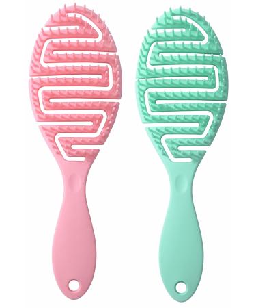 2 Pack Hair Brush For Women Professional Quick Drying Vent Styling Detangling Hairbrush For Wet/Dry/Curly/Thick/Long/Wavy/Damaged Hair Faster Blow Drying(Pink PowderBlue)