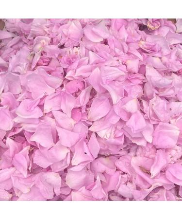 Martina Gebhardt Demeter natural cosmetics Rose Tonic With wild rose and hibiscus flower extract gives a pleasant fresh scent 3 x 100 ml - Buy Online on GoSupps.com