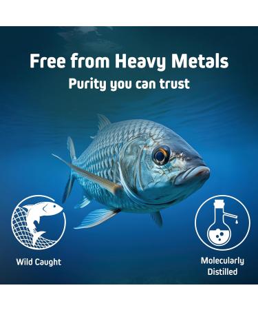 Herbtonics Omega 3 Fish Oil 1250mg - High EPA 450mg + DHA 300mg for Heart & Brain Health | Triple Strength Burpless Lemon Flavor Wild Caught | 180 Softgels (Up to 6 Month Supply) - Buy Online on GoSupps.com