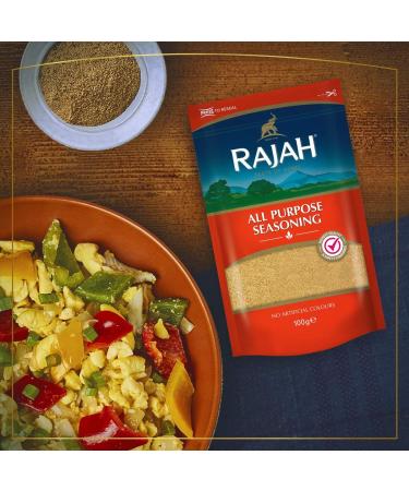 Rajah Spices All Purpose Seasoning - 10 x 400g Pack - Premium Quality Ingredients - Buy Online on GoSupps.com