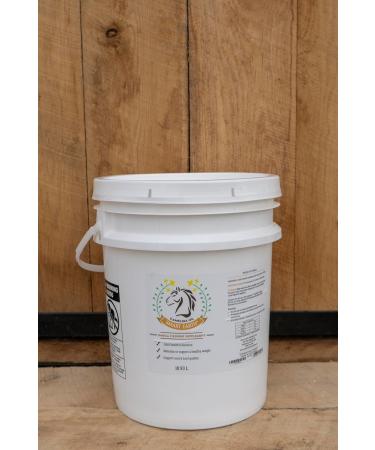 Smart Earth Camelina Oil for Horses - Natural Nutritional Supplement for Coat Hooves and Joints - Horse Oil - Omega 3 6 & 9 - Equine Care - Camelina Oil for Joint Health (18.9L) - Buy Online on GoSupps.com