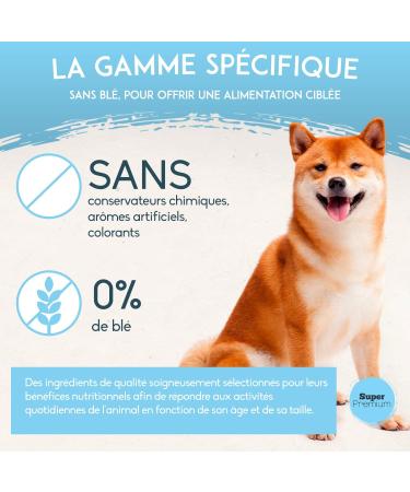 NUTRIVET - Super Premium - Junior Mini - Wheat-free kibble - Puppy - Rich in Animal Protein - 5 kg - Buy Online on GoSupps.com