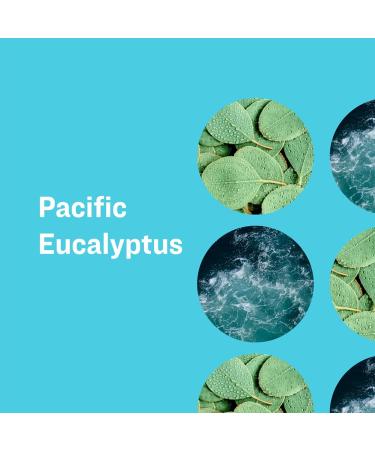 Everyone Liquid Hand Soap 12.75 Ounce (Pack of 1) Pacific Eucalyptus Plant-Based Cleanser with Pure Essential Oils - Buy Online on GoSupps.com