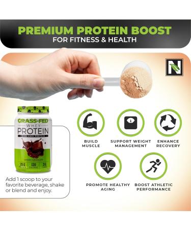 Nutrology Grass-Fed Whey Protein Powder Cold-Processed Grass Fed Whey & Amino Acid Powder for Enhanced Lean Muscle Recovery & Performance 28 Servings Shake Blend or Bake Creamy Chocolate Flavor Creamy Chocolate 2 Poun  - Buy Online on GoSupps.com