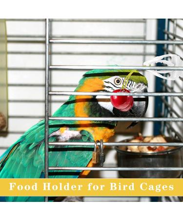 Bird Cage Food Holder Clips for Parrot, Budgie, Cockatoo - Set of 6 | Feeder Clip for Fruit, Vegetable, and Seed Treats - Ideal for Macaw, Cockatiel, Conure - Buy Online on GoSupps.com