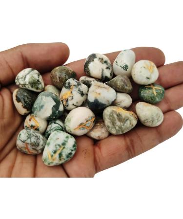 Sharvgun Tree Agate Rune Stone Set 25 pi ces avec tableau en bois MDF runique grav lettrage symbolique pa en velours noir/rouge pochette incluse bo te-cadeau - Buy Online on GoSupps.com
