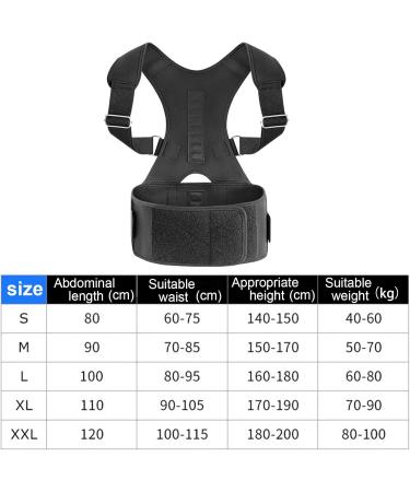 OIIBWQ Posture Belt for Improved Spinal Alignment M - Buy Online on GoSupps.com