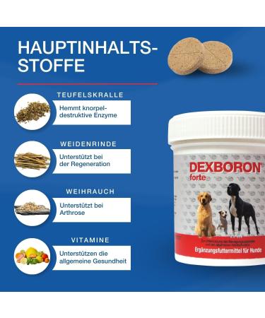 Nutrilabs Dexboron Forte Dog Chewing Tablets - 450 pcs - Natural Regeneration with Devil s Claw Pasture Bark & Treeto Extract for Dogs - Support Your Dog's Health - Buy Online on GoSupps.com