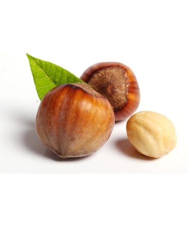 Raw Hazelnuts in Shell from Poland | 2 kg | Premium | Packaging: Cardboard - Buy Online on GoSupps.com