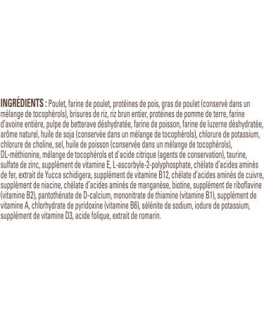 NUTRO Wholesome Essentials Kitten Dry Food Chicken & Brown Rice Recipe 1.36kg Bag - Buy Online on GoSupps.com