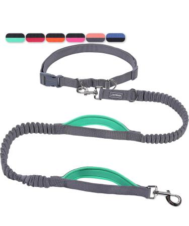 Vivaglory free-handed dog leash with double padded handles and anti-shock bungees reflective waist Running leash for jogging training for medium large dogs gray/turquoise M: fits the waist 83-147cm gray/turquoise