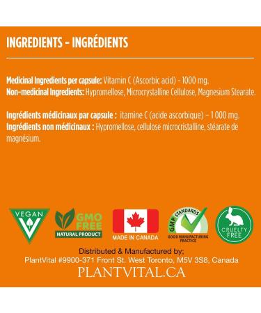 PlantVital Vitamin C 1000mg MAXIMUM STRENGTH -Vit C Supplements helps support immune system collagen and connective tissue formation - Stronger bones teeth and gums - 8 Months Supply - 240 Capsules 240 Count (Pack of 1) - Buy Online on GoSupps.com