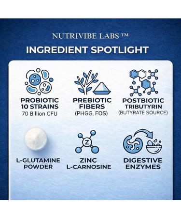NUTRIVIBE LABS 6-in-1 Gut Health 70 Billion CFU 10 Strains Probiotics Prebiotics Postbiotics Digestive Enzymes + L-Glutamine & Zinc Supports Digestion & Immunity Delayed Release 60 Capsules - Buy Online on GoSupps.com