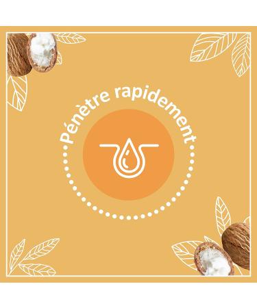 Le Petit Marseillais Lip Care Stick - Nourishing Dry Lips - Best International Shipping - Buy Online on GoSupps.com