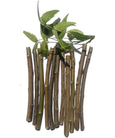 Shop Organic Neem Datun Toothbrush - Ayurvedic Chew Sticks for Fresh Breath & Toothache Relief (Pack of 20 - Buy Online on GoSupps.com