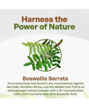 Go Nutra Boswellia Serrata Extract Powder 10:1 Strength 65% Boswellic Acid Frankincense Supplement Joint Support - 8 oz. - Buy Online on GoSupps.com