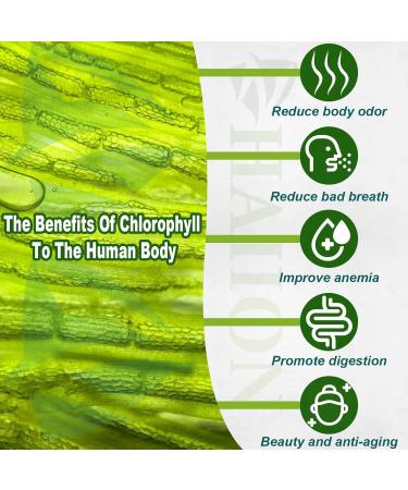 Generic Body Deodorizing Supplement Works Chlorophyll Capsules for Body Odor Pills for Body Odor Control Internal Deodorant Immune & Digestion Support Vegan Friendly (1pcs) Green 1 Count (Pack of 1) - Buy Online on GoSupps.com