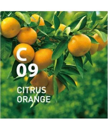 Citrus Orange Clean Air Mist Made in Japan With Sakhalin Fir Orange Lemon Geranium Eucalyptus 50ml - Buy Online on GoSupps.com