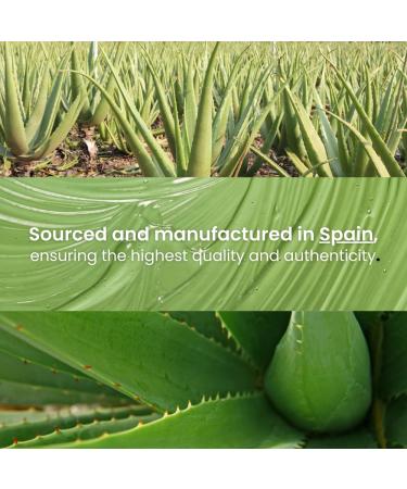 Buy CMP Aloe Vera & Rosemary Hair Removal Products | Laser Wax Cream Epilator & Shave | 1000 ml Professional Formula for Face & Body | 48h Moisture & Soothing Relief - Buy Online on GoSupps.com