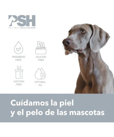 PSH Nose Balm for Dogs - Moisturizing Balm 100ml | Hydrate & Heal Dry Noses - Buy Online on GoSupps.com