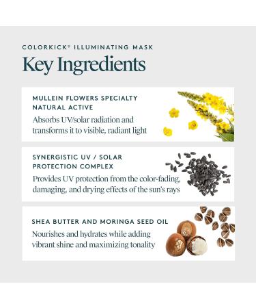 Buy Virtue ColorKick Illuminating Hair Mask - Tones Nourishes & Preserves Color-Treated Hair | International Shipping Available - Buy Online on GoSupps.com
