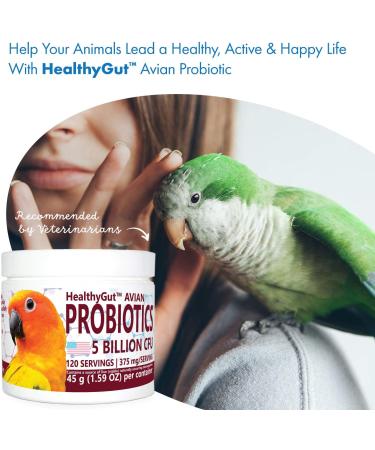 Avian Probiotics for Parrots | All-Natural Digestive System Support | 120 Servings - Buy Online on GoSupps.com