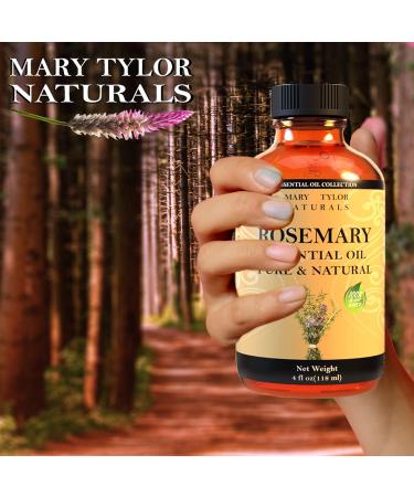 Rosemary Essential Oil 4 oz By Mary Tylor Naturals Premium Therapeutic Grade 100% Pure and Natural Perfect for Aromatherapy and Much More by Mary Tylor Naturals - Buy Online on GoSupps.com