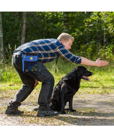 FTTouuy Waterproof Dog Food Bag for Training | Azure Blue XL | Perfect for Dog Treats & Agility Training - Buy Online on GoSupps.com