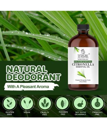 Citronella Essential Oil 4 Fl Oz 100% Pure and Natural Citronella Oil for Diffuser and Aromatherapy Skin Massage Candle and Soap Making Fragrance - with Dropper Citronella 4 Fl Oz (Pack of 1) - Buy Online on GoSupps.com