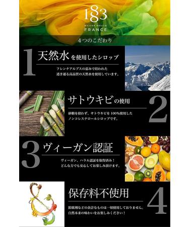 Philibert Routin Tiramisu Syrup - 1L - Buy Online on GoSupps.com