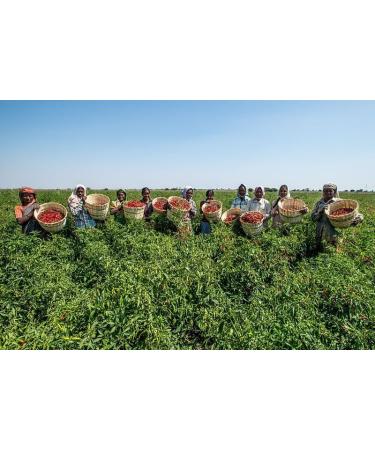 Farm Royale Long Pepper/pippali- 200g - Premium Export Quality 100% Pure Natural hand processed by women workers. - Buy Online on GoSupps.com