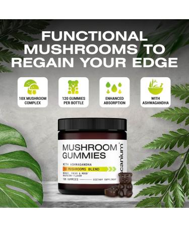 ASCANIUM Mushroom Gummies 120 pcs - 10 Mushrooms Blend with Lions Mane Turkey Tail Reishi Cordyceps for Mind and Focus - Mushroom Supplement Gummies with Ashwagandha - Buy Online on GoSupps.com