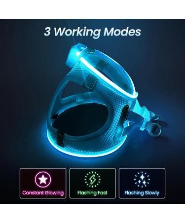 Buy PCEOTLLAR Dog Harness - LED Reflective & Breathable Light Dishes for Small to Medium Dogs - Blue - Buy Online on GoSupps.com
