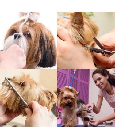 ISEAFLY 5-in-1 Dog Grooming Set - Stainless Steel Shears for Full Body Face Nose & Ear Care | Ideal for Cats & Dogs - International Shipping Available - Buy Online on GoSupps.com