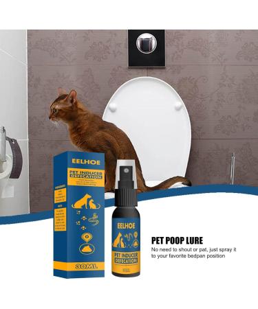 Go Here Spray for Dogs 30ml No Pee Spray for Dogs Puppy Supplies for Training Dogs Removing Stains and Odors Rianpesn - Buy Online on GoSupps.com