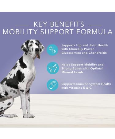 Blue Buffalo True Solutions Natural Adult Wet Dog Food Mobility Care 354g cans (Pack of 12) Mobility Care 12.5oz Cans - Pack of 12 - Buy Online on GoSupps.com