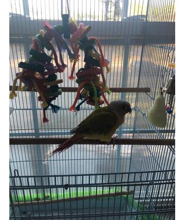 Wonninek Bird Toys Bird Shredding Toys Bird Parrots Chewing Hanging Toys Bird Cage Accessories for Small Parakeets Cockatiels Budgies Conures Love Birds Finches - Buy Online on GoSupps.com