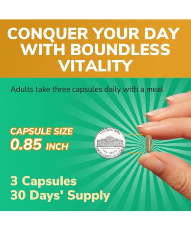 Maca Root Capsules for Women & Men, 1,500 mg of 4:1 Extract, Equivalent to 6,000 mg of Fresh Maca Root Per Serving, Vitality, Mood, Metabolic Support, 90 Capsules - Buy Online on GoSupps.com