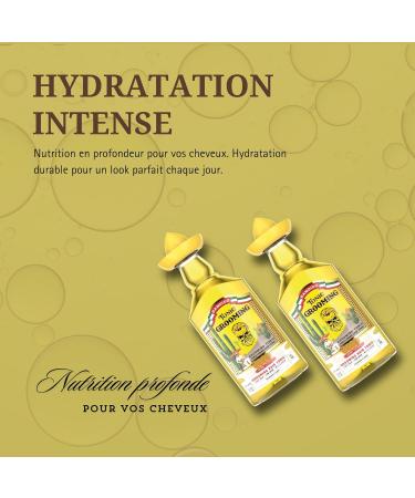 BANDIDO Men's Hair Lotion 250ml - Very Fast Hair Growth - Hair Growth Serum - Hair Regrowth - Products Against Hair Loss - Anti Hair Loss for Men - Toning Lotion - Buy Online on GoSupps.com