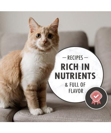 NUTRO Adult Dry Cat Food, Salmon & Brown Rice Recipe, 14 lb - Pack of 1 - Buy Online on GoSupps.com