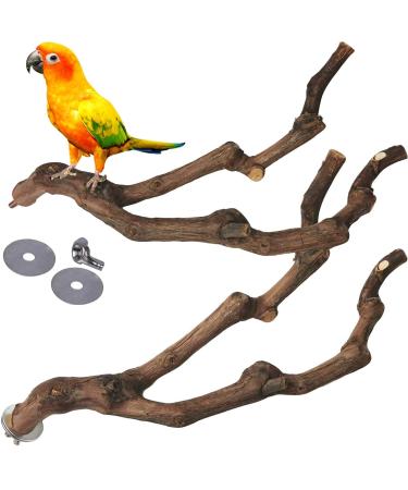 kathson Natural Parrot Perch Bird Stand Pole Wild Grape Stick Paw Grinding Fork Parakeet Climbing Standing Branches Toy Chewable Cage Accessories for Small Budgies Cockatiels Lovebirds 2PCS