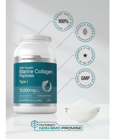 Horb ach Marine Collagen Peptides Powder 2.2 lb | for Skin Hair and Nails | Type I Hydrolyzed Fish Collagen | Unflavored | Keto Paleo Non-GMO Gluten Free Supplement - Buy Online on GoSupps.com