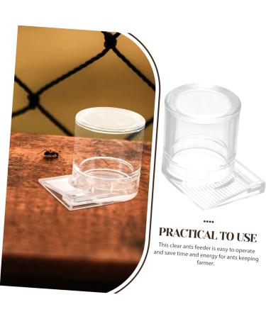 COLLBATH Pet Water Feeder Ant Water Feeders Water Feeding Cup for Ant Nest Ant Keeping Transparent Plastic - Buy Online on GoSupps.com