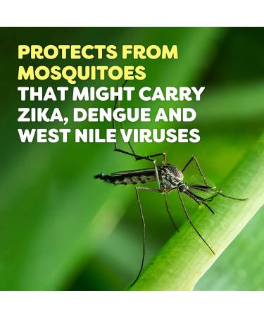 OFF! Deep Woods Insect Repellent Aerosol, Dry, Non-Greasy Formula, Bug Spray with Long Lasting Protection from Mosquitoes, 8 oz (Pack of 2) - Buy Online on GoSupps.com