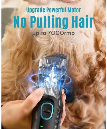 oneisall Professional Dog Clippers for Thick Hair - Heavy-Duty Cordless Grooming Clippers with Metal Blade for Cockapoo - Blue - Buy Online on GoSupps.com