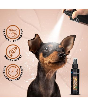 GROOM PROFESSIONAL Warm Spice & Vanilla Festive Dog Cologne Spray - Dog Perfume Spray - Dog Spray for Smelly Dogs - Pet Fragrance with a Spicy Accord of Cinnamon & Nutmeg - Festive Scent 100ml 100 ml (Pack of 1) - Buy Online on GoSupps.com