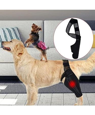 Dog Leg Bracket Pet Dog Leg Support Bracket Dog Hind Leg Protection Device Adjustable Knee Bracket Leg Bracket Dog Arthritis Bracket for Dog Hind Leg Rehabilitation XL - Buy Online on GoSupps.com