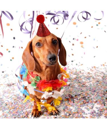 Molain Dog Birthday Hats 4 Pieces Dog Party Hats Party Decorations Accessories for Dog cat Headband hats red royal blue gold pink 11.5 x 7.5 cm - Buy Online on GoSupps.com